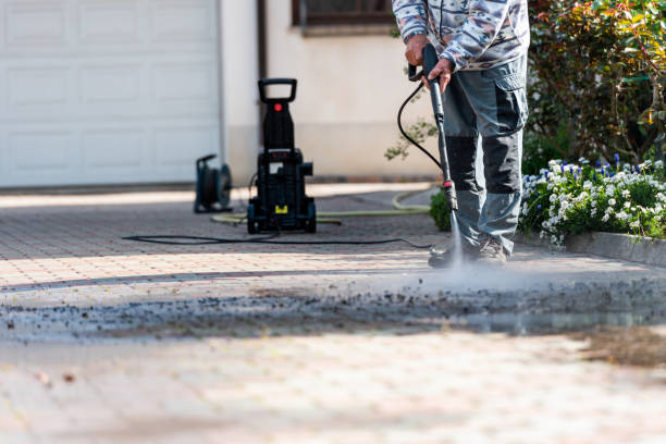 Best Roof Pressure Washing  in East Vineland, NJ