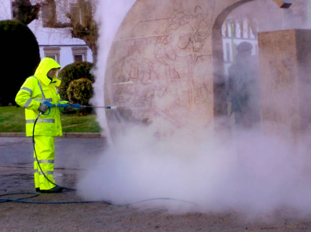 Best Roof Pressure Washing  in East Vineland, NJ